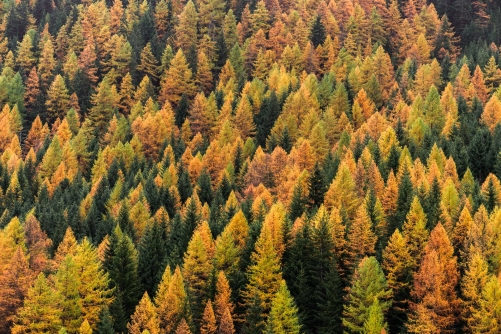 Frederic Demeuse Photography-WALD-Gran Paradiso