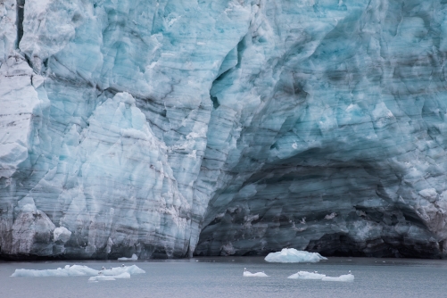 Frederic Demeuse WALD Photography-Arctic